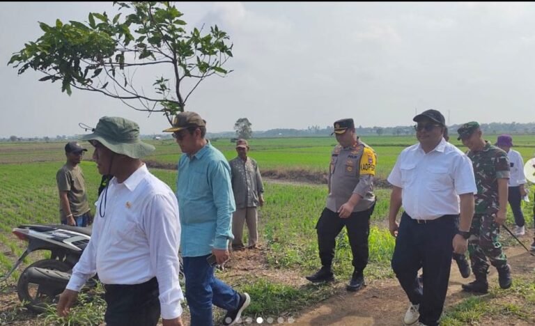 Kapolres Tanah Laut Dampingi Kunjungan Kerja Menteri Pertanian Dalam Rangka Pengembangan Lahan Rawa