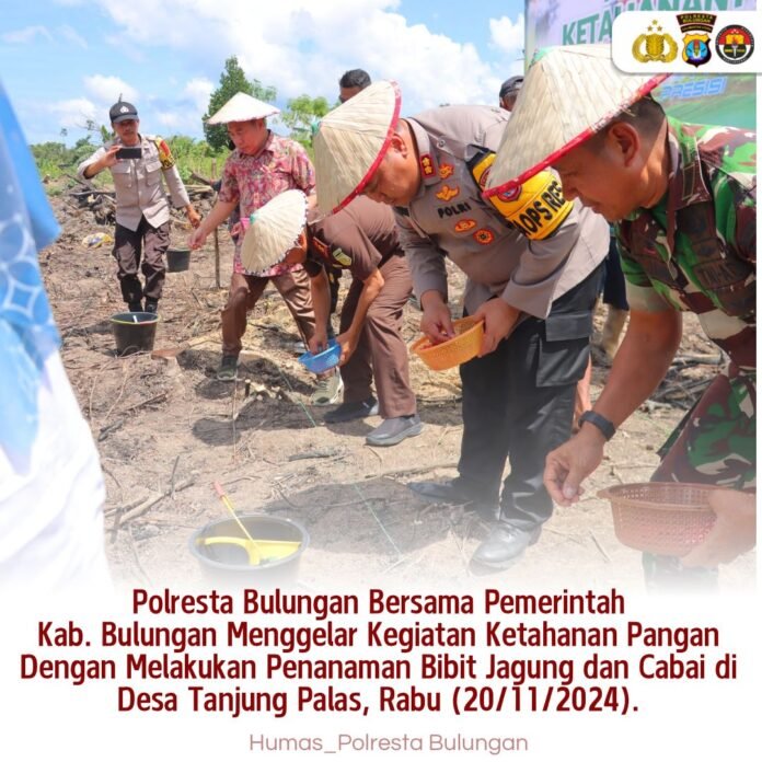 WhatsApp Image 2024-11-20 at 15.15.02 (1)